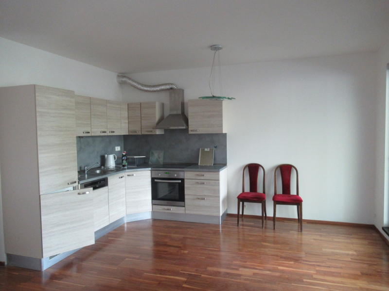 Velmi pěkný novější byt 1+kk s terasou, Praha 8 - Libeň
