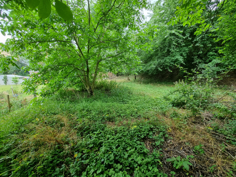 Pronájem zahrady 320m2 u zahrádkářské kolonie - v obci Kralupy nad Vltavou